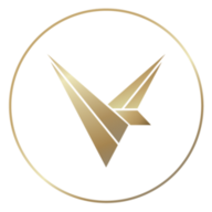 VY logo
