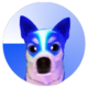 WBASEDOGE logo