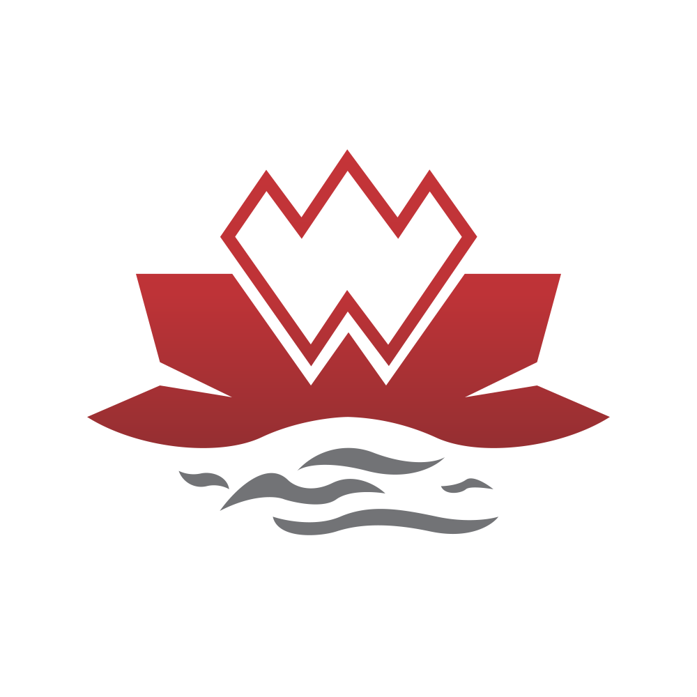 WEALTH.NSE logo