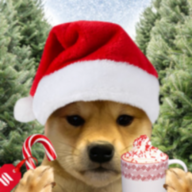 WIFMAS logo