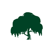 WLIIU logo