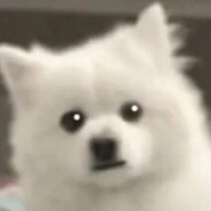 YUKIE logo
