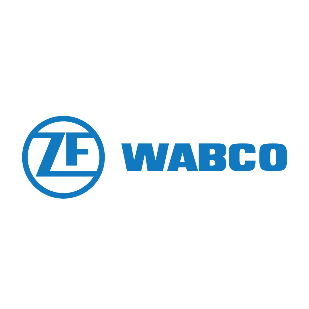 ZFCVINDIA.NSE logo